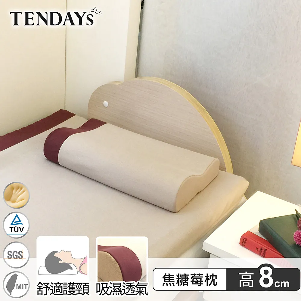 【TENDAYS】DISCOVERY柔眠枕(焦糖莓)10cm高 歷史價格詳細信息