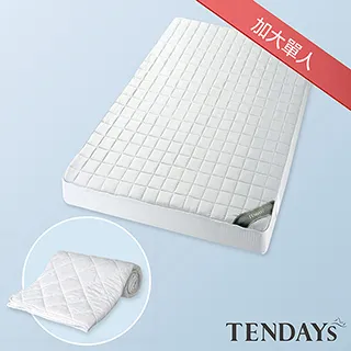[TENDAYS]備長炭床包型保潔墊(5尺標準雙人) 歷史價格詳細信息