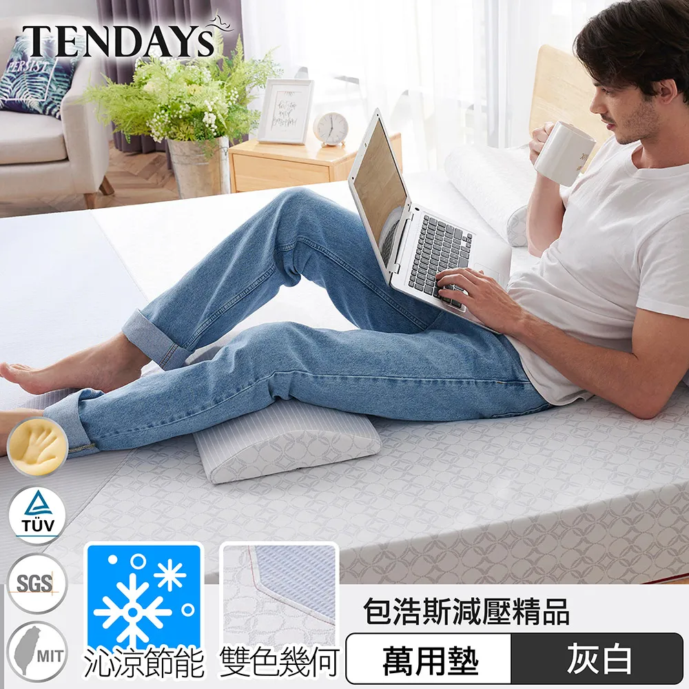 【TENDAYS】包浩斯紓壓萬用墊(靠墊 腰墊 膝下墊) 歷史價格詳細信息