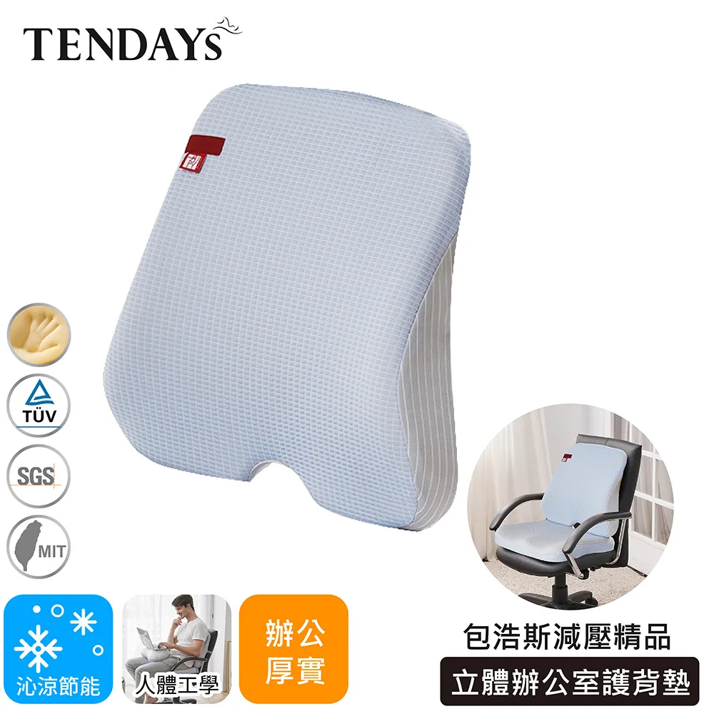 [TENDAYS]辦公室背墊(丈青蜜絲絨) 歷史價格詳細信息