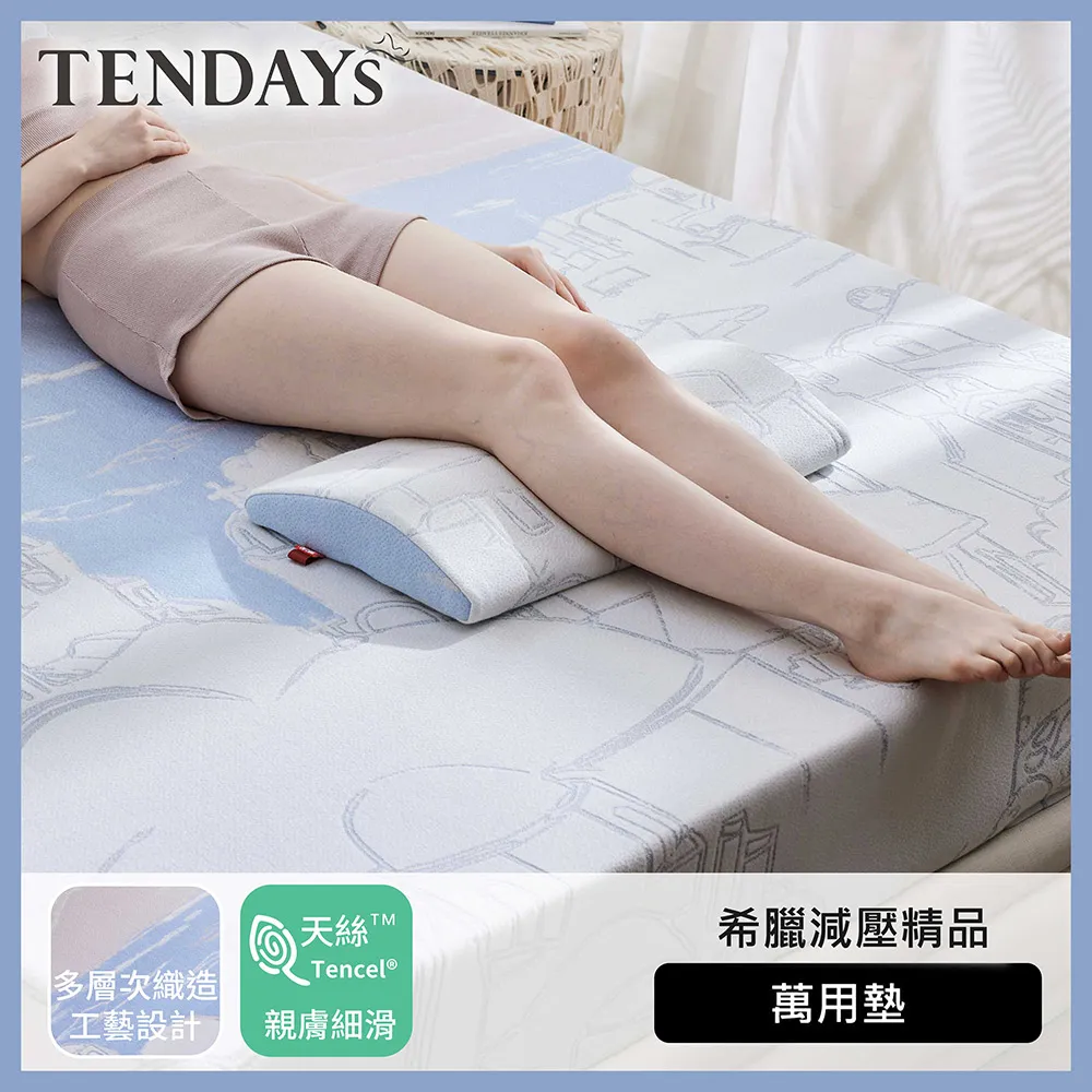 [TEDNAYS] 萬用墊(兩色可選) 歷史價格詳細信息
