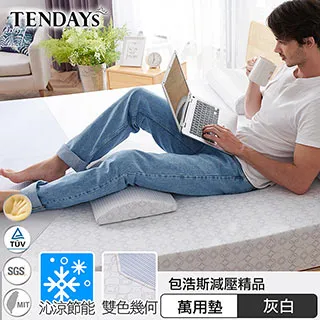 【TENDAYS】包浩斯紓壓萬用墊(靠墊 腰墊 膝下墊) 歷史價格詳細信息