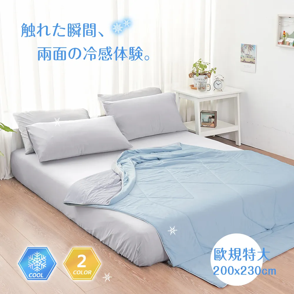 BELLE VIE 歐風寬邊織帶拼角 抗靜電牛奶絨 加大床包被套四件組 (任選) 即瞬保暖 熱感蓄溫 歷史價格詳細信息