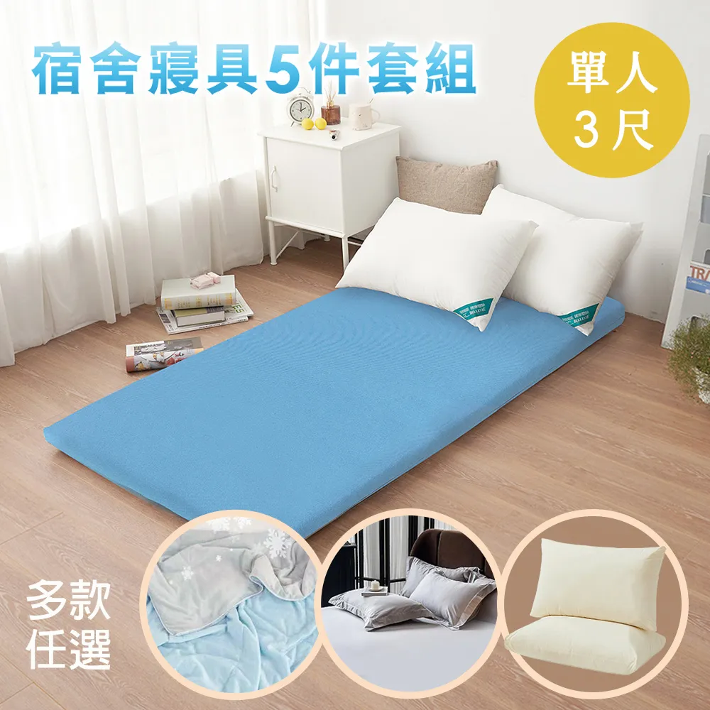 BELLE VIE 活性印染 100%精梳純棉 加大三件式床包組 多款任選 歷史價格詳細信息