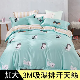 【四包組】天然密碼豆腐砂(原味/玉米/綠茶) 單包6L 歷史價格詳細信息