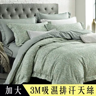 【Betrise夢語】加大-3M專利天絲吸濕排汗四件式兩用被床包組-採用3M專利吸濕排汗藥劑 歷史價格詳細信息