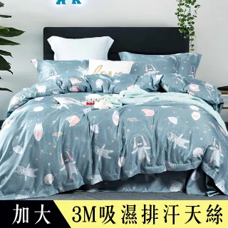 【Betrise海底世界】加大-3M專利天絲吸濕排汗四件式兩用被床包組-採用3M專利吸濕排汗藥劑 歷史價格詳細信息