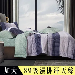 【Betrise若語芊葉】單人-頂級植萃系列 300織紗100%純天絲三件式兩用被床包組 歷史價格詳細信息