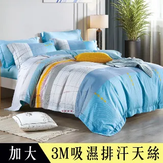 【Betrise淺笑伊人】加大 C量能系列 100%奧地利天絲™光淬石墨烯四件式兩用被床包組 歷史價格詳細信息