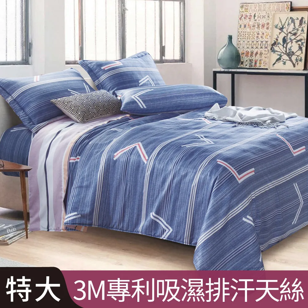 【Betrise靜聽流年】C量能系列 300織紗100%純天絲™光淬石墨烯鋪棉兩用被套(雙人6X7尺) 歷史價格詳細信息