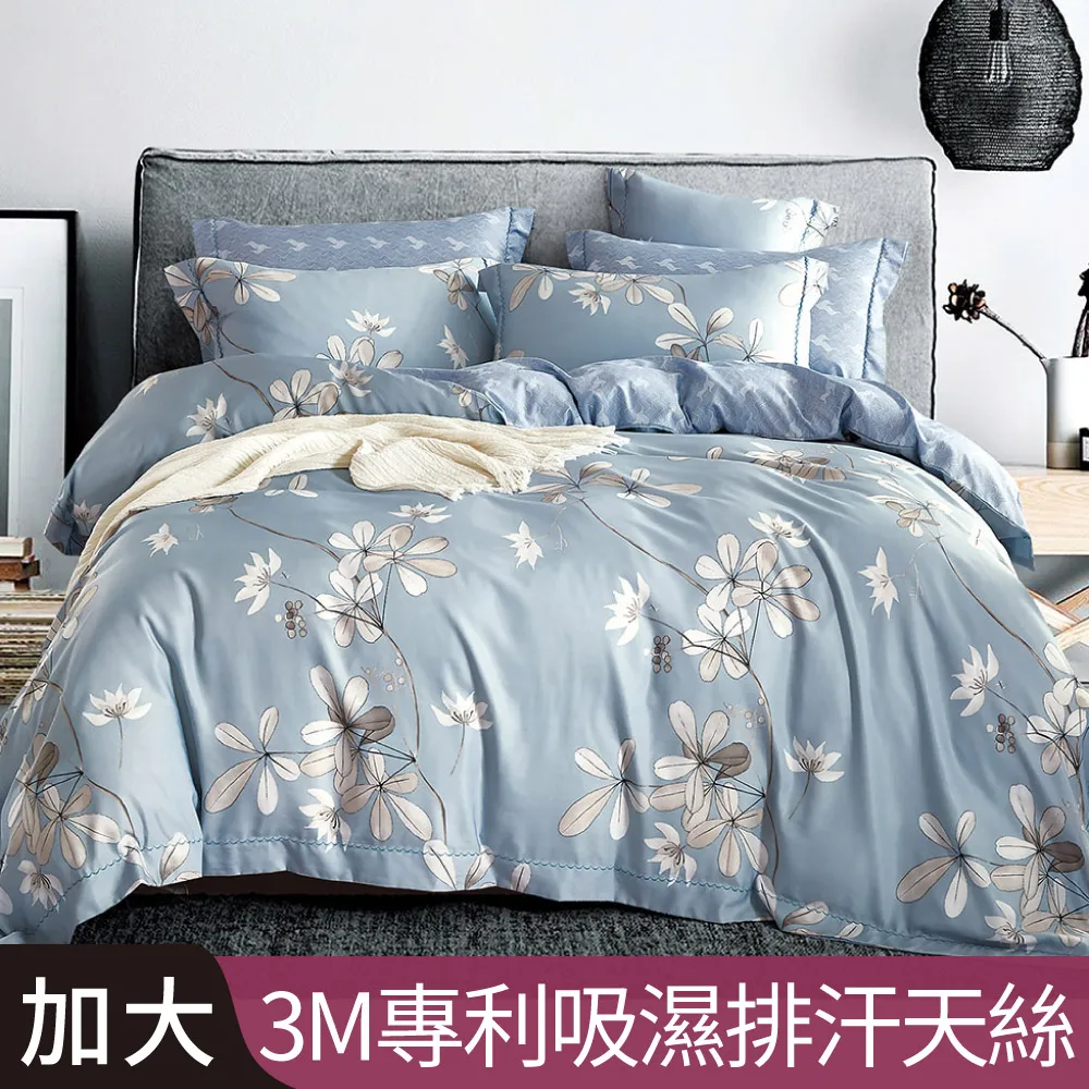 【Betrise蜜香】加大-3M專利天絲吸濕排汗四件式兩用被床包組-採用3M專利吸濕排汗藥劑 歷史價格詳細信息