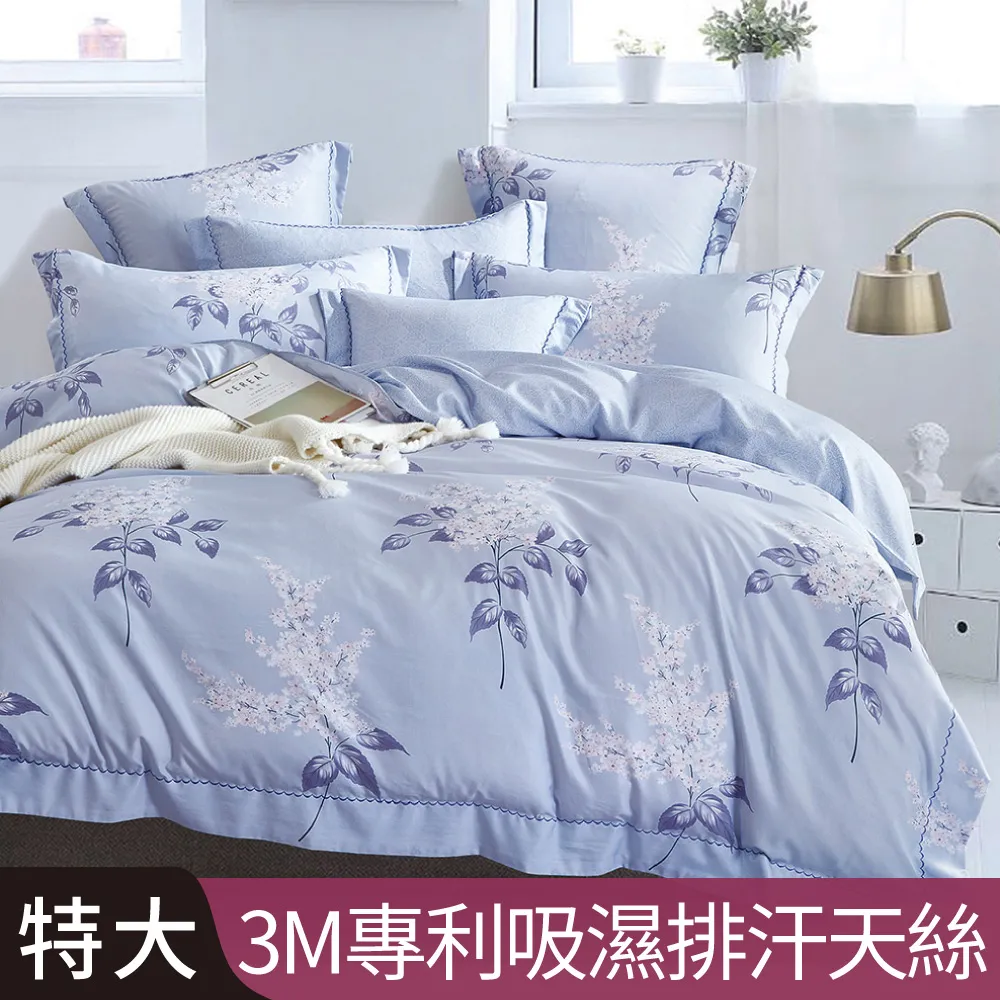 【Betrise寧夏初開】加大-3M專利天絲吸濕排汗四件式兩用被床包組-採用3M專利吸濕排汗藥劑 歷史價格詳細信息