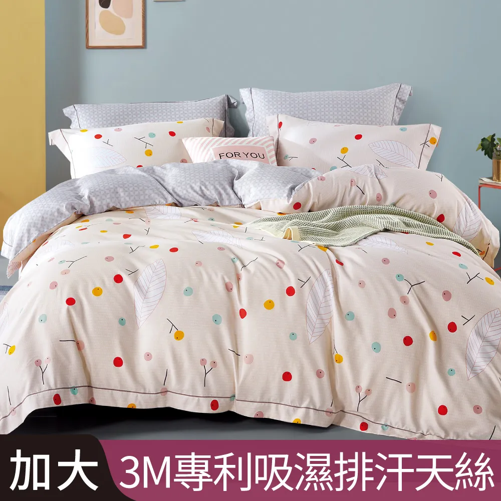 【Betrise】沁意寧夏-加大-環保印染德國防蹣抗菌精梳棉四件式兩用被床包組 歷史價格詳細信息