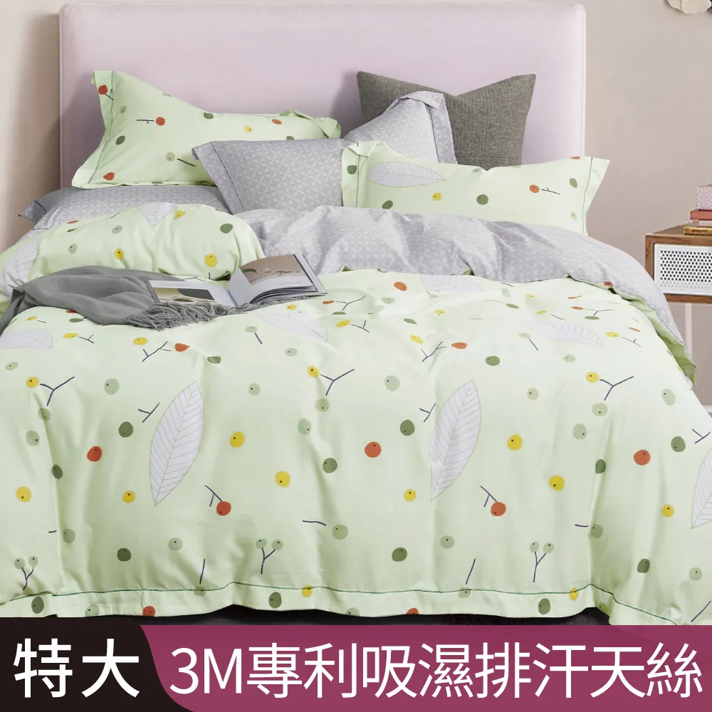 【Betrise香甜牛油果】100%精梳棉 銀離子防蹣抗菌/舖棉兩用被/床包組 床高35cm 吊牌品質認證 可超取 歷史價格詳細信息