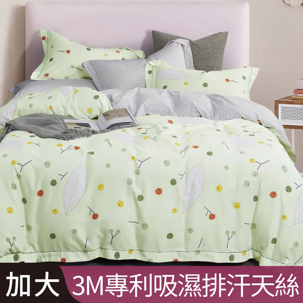 【Betrise香甜牛油果】100%精梳棉 銀離子防蹣抗菌/舖棉兩用被/床包組 床高35cm 吊牌品質認證 可超取 歷史價格詳細信息