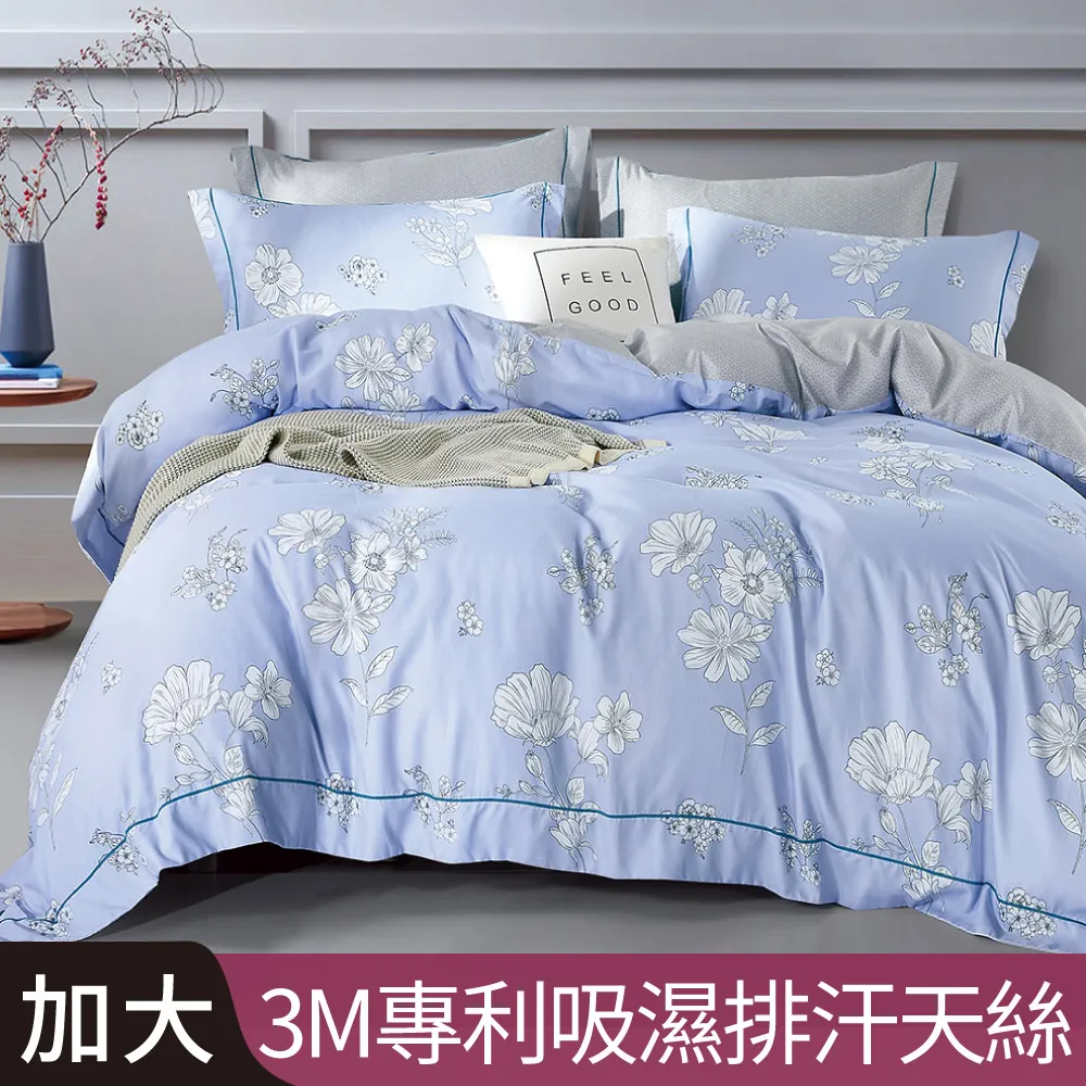 【Betrise井天藍】加大 LOGO系列 300織紗100%純天絲防蹣抗菌四件式兩用被床包組 歷史價格詳細信息