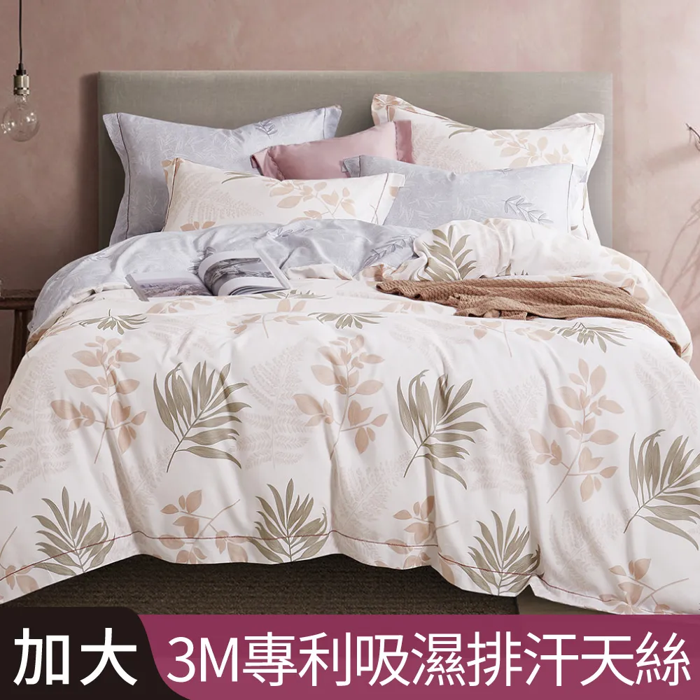 【Betrise往事】植萃系列100%奧地利天絲鋪棉涼被/四季被 5X6.5尺一入(獨家加大尺寸) 歷史價格詳細信息