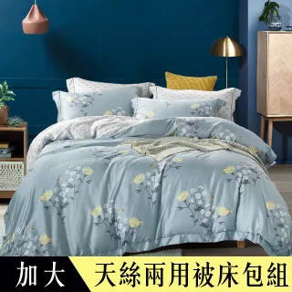 【Betrise朴夢】加大-3M專利天絲吸濕排汗四件式兩用被床包組-採用3M專利吸濕排汗藥劑 歷史價格詳細信息