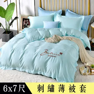 【Betrise望著天空】環保印染抗菌天絲素色歐式壓框薄枕套X2 歷史價格詳細信息