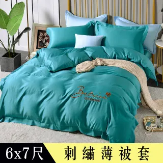 【Betrise青石路上】環保印染抗菌天絲素色刺繡歐式壓框薄被套一入 5x7尺-單人 歷史價格詳細信息