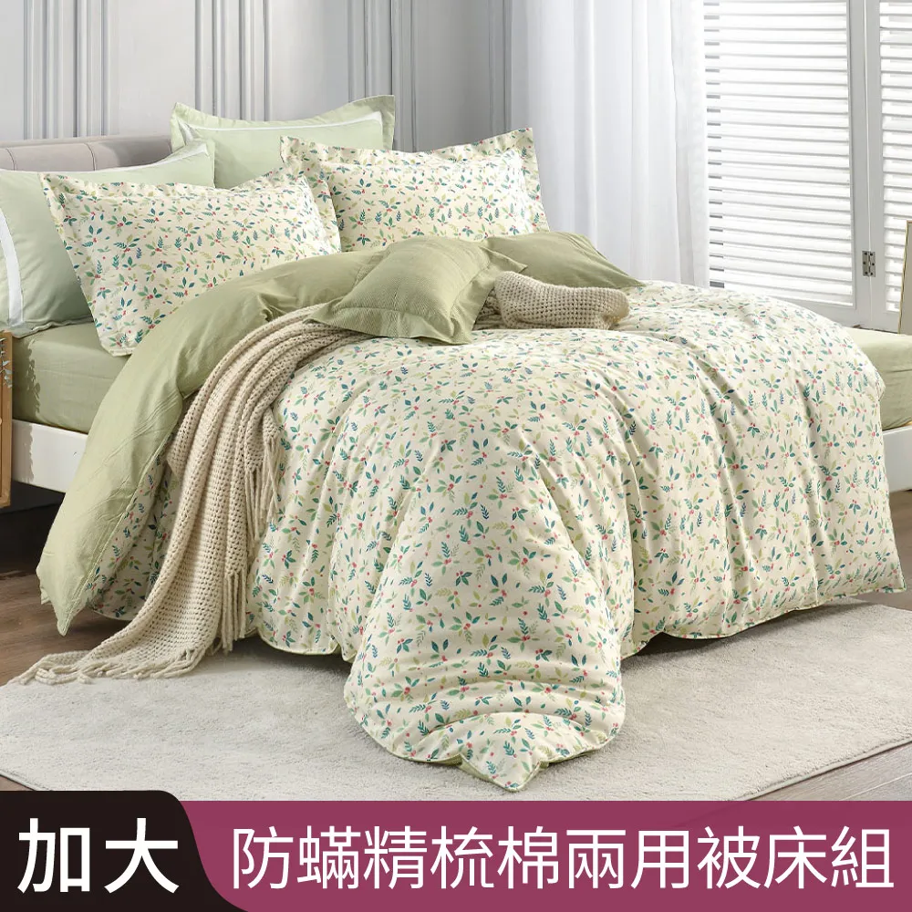 【Betrise風沐花意】C量能系列 300織紗100%純天絲™光淬石墨烯鋪棉兩用被套(雙人6X7尺) 歷史價格詳細信息