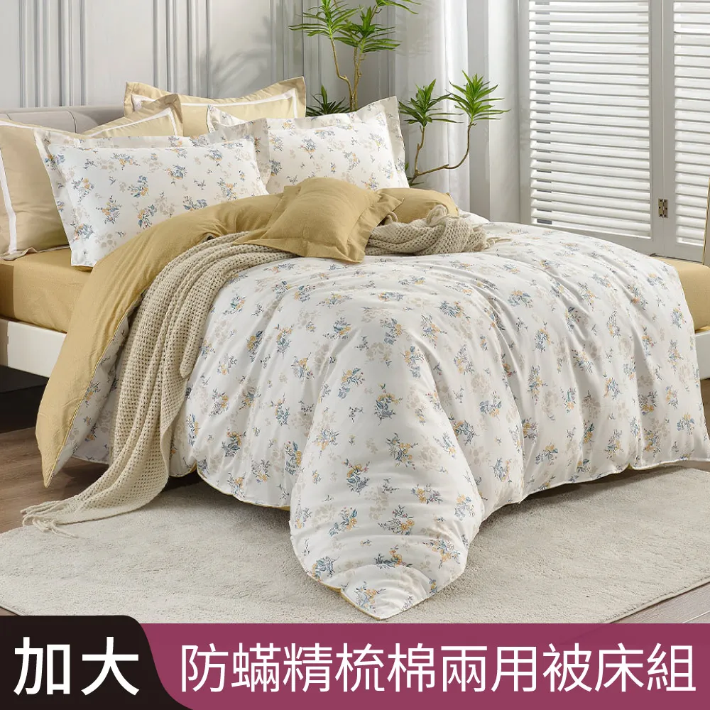 【Betrise雨后】植萃系列100%奧地利天絲鋪棉涼被/四季被 5X6.5尺一入(獨家加大尺寸) 歷史價格詳細信息