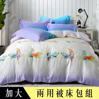【Betrise烈鳥叢林】100%精梳棉 銀離子防蹣抗菌/舖棉兩用被/床包組 床高35cm 吊牌品質認證 可超取 歷史價格詳細信息
