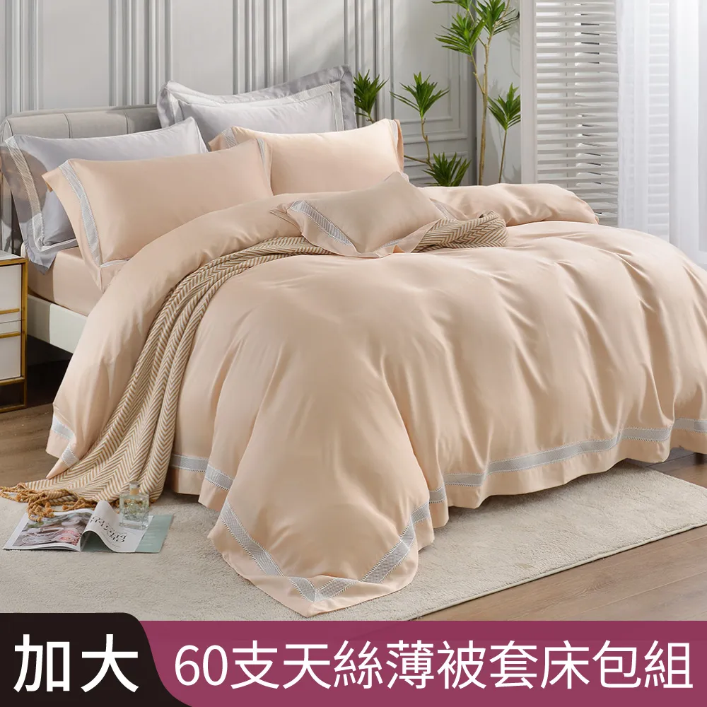 【Betrise】頂級300織紗萊賽爾纖維石墨烯科技抗菌羽絲絨暖冬被(單人5X7尺/2色任選) 歷史價格詳細信息