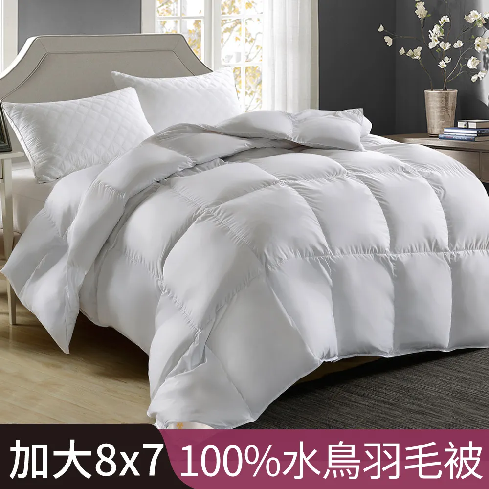 【Betrise海灣星空】加大-3M專利天絲吸濕排汗四件式兩用被床包組-採用3M專利吸濕排汗藥劑 歷史價格詳細信息