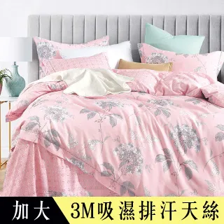 【Betrise圓點風尚】頂級100%加大60支長絨棉四件式兩用被床包組 歷史價格詳細信息