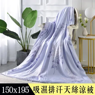 【Betrise寧夏初開】加大-3M專利天絲吸濕排汗四件式兩用被床包組-採用3M專利吸濕排汗藥劑 歷史價格詳細信息