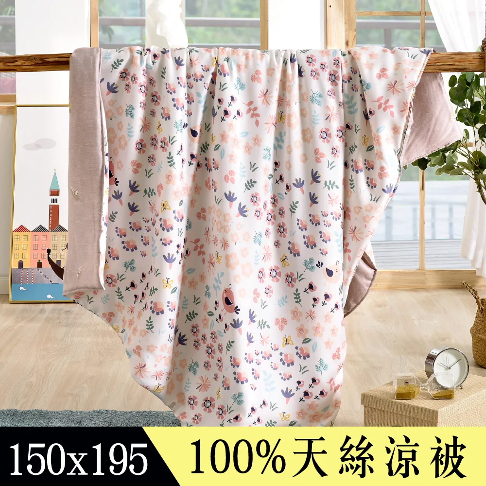 【Betrise初見】植萃系列100%奧地利天絲鋪棉涼被/四季被 5X6.5尺一入(獨家加大尺寸) 歷史價格詳細信息