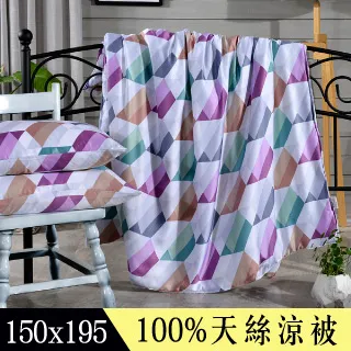 贈枕套一對!HOYACASA 奶茶米 清淺典雅系列60支天絲涼被(5X6尺) 歷史價格詳細信息