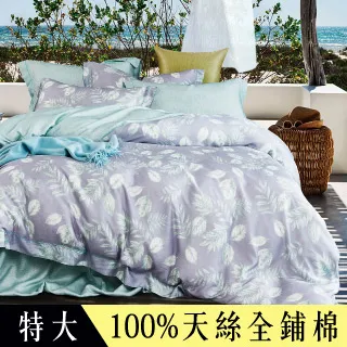 100%全植蔬食饗宴：蔬食營養專家量身打造，逾100道植物性、無麩質、無精製糖西式料理/嘉娜．克里斯托法諾【城邦讀書花園】 歷史價格詳細信息