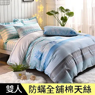 【Betrise風沐花意】C量能系列 300織紗100%純天絲™光淬石墨烯鋪棉兩用被套(雙人6X7尺) 歷史價格詳細信息