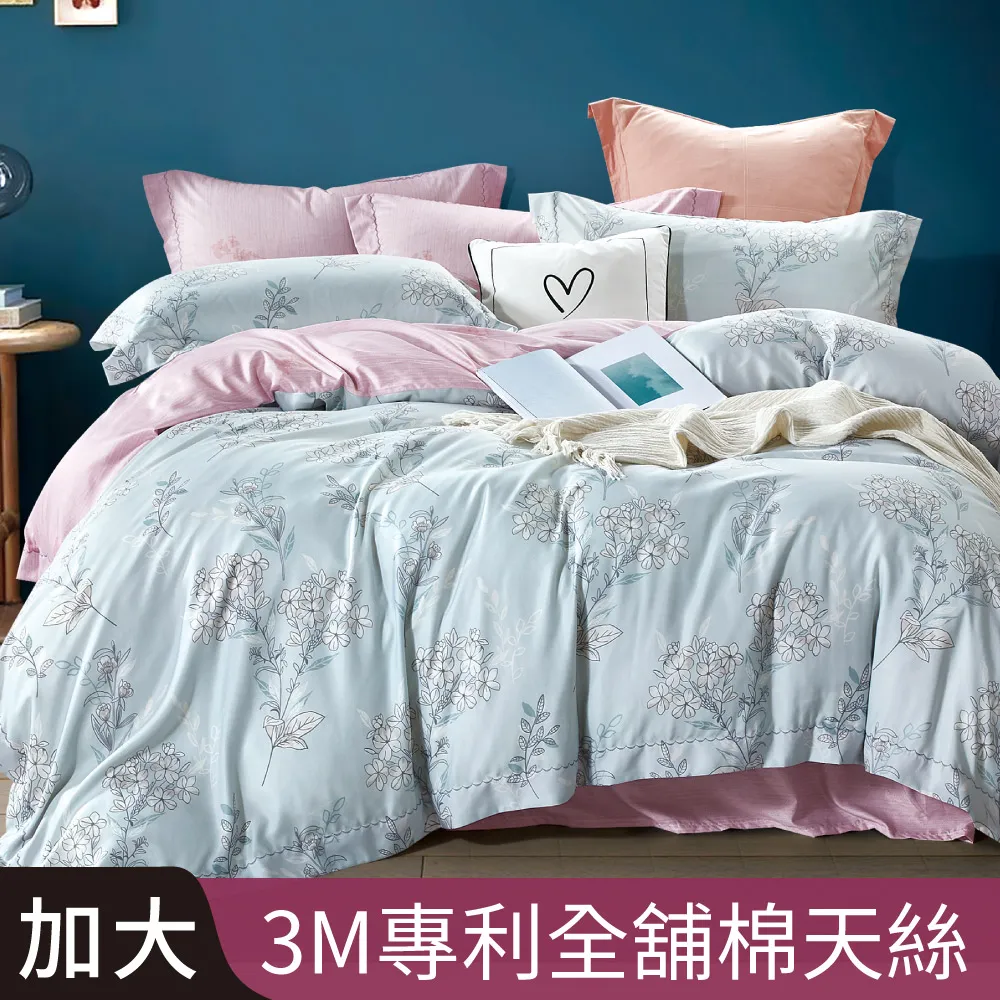 【Betrise花間舞】加大-3M專利天絲吸濕排汗四件式兩用被床包組-採用3M專利吸濕排汗藥劑 歷史價格詳細信息
