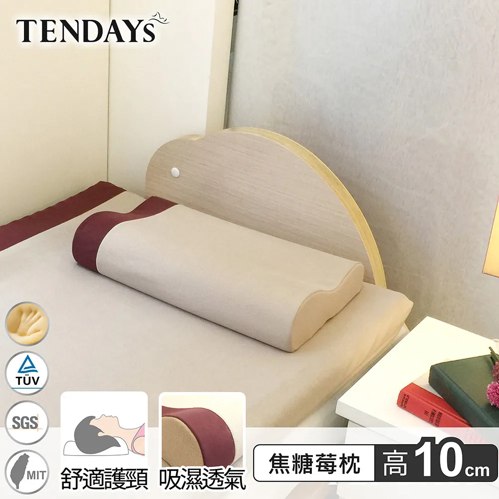 [TENDAYS] DISCOVERY柔眠枕(晨曦白)單入 (8/10cm高任選)-買加贈 歷史價格詳細信息
