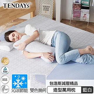 【TENDAYS】包浩斯紓壓造型萬用枕(抱枕 靠墊) 歷史價格詳細信息