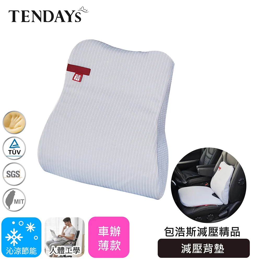 【TENDAYS】包浩斯紓壓減壓坐墊(車辦兩用椅墊) 歷史價格詳細信息