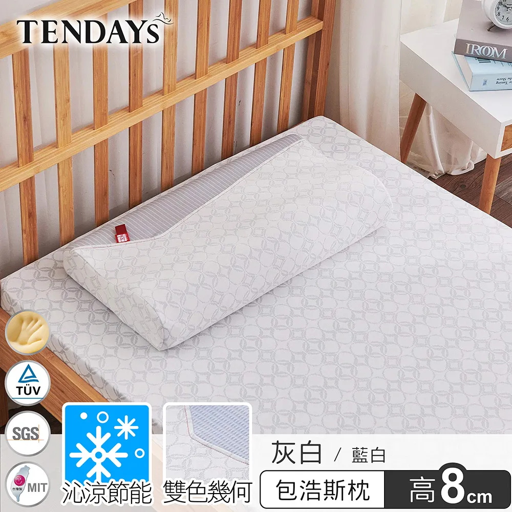 [TENDAYS] 包浩斯紓壓枕 單入 10cm高(灰白/藍白兩色任選) 歷史價格詳細信息