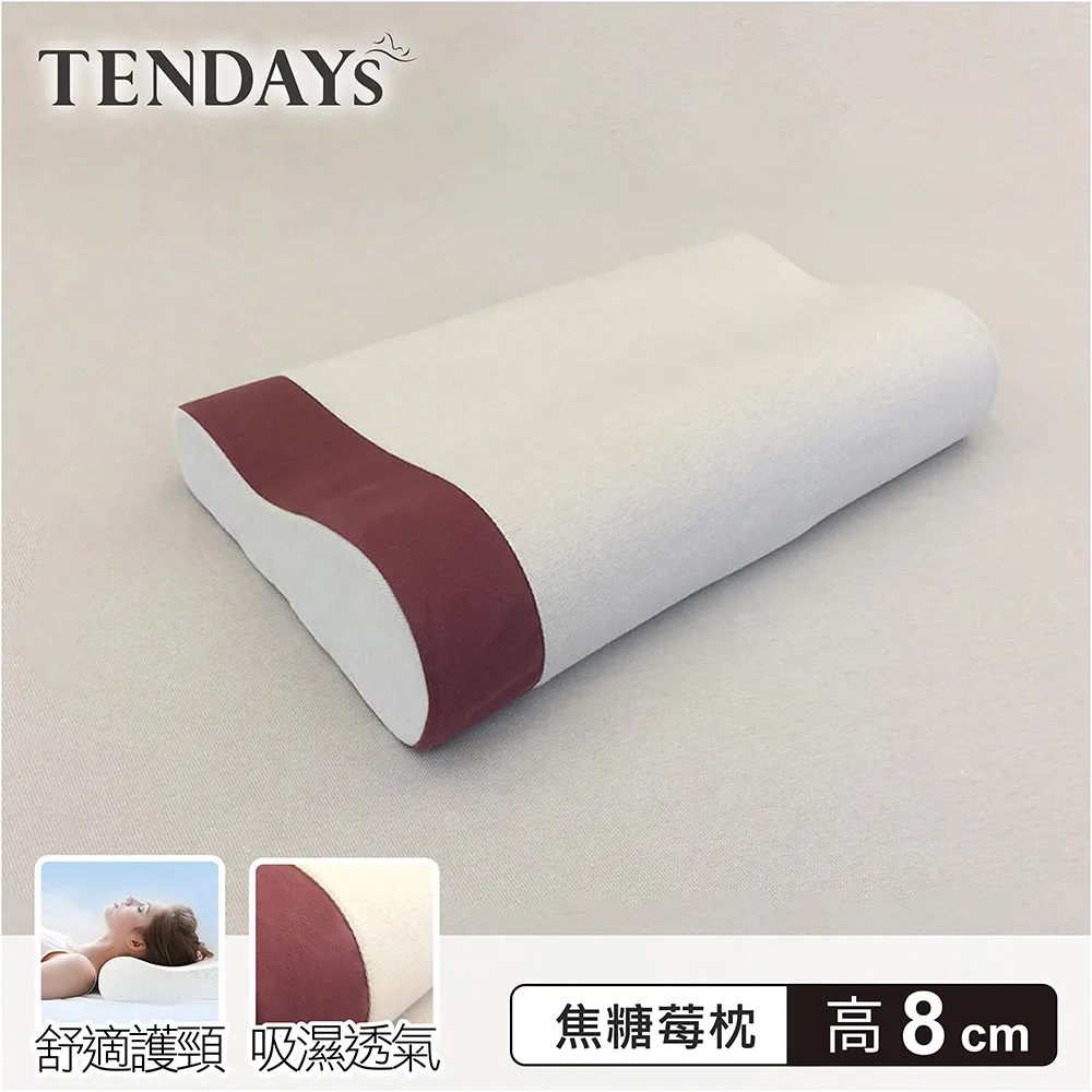 [TENDAYS] DISCOVERY柔眠枕(晨曦白)單入 (8/10cm高任選)-買加贈 歷史價格詳細信息