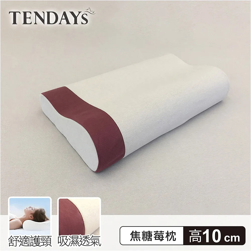 [TENDAYS] DISCOVERY柔眠枕(晨曦白)單入 (8/10cm高任選)-買加贈 歷史價格詳細信息