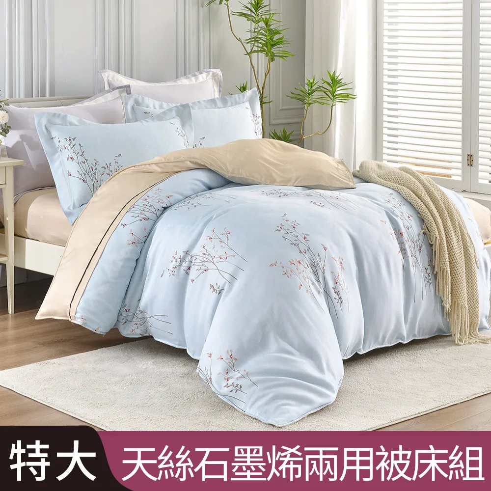 【Betrise海底世界】加大-3M專利天絲吸濕排汗四件式兩用被床包組-採用3M專利吸濕排汗藥劑 歷史價格詳細信息