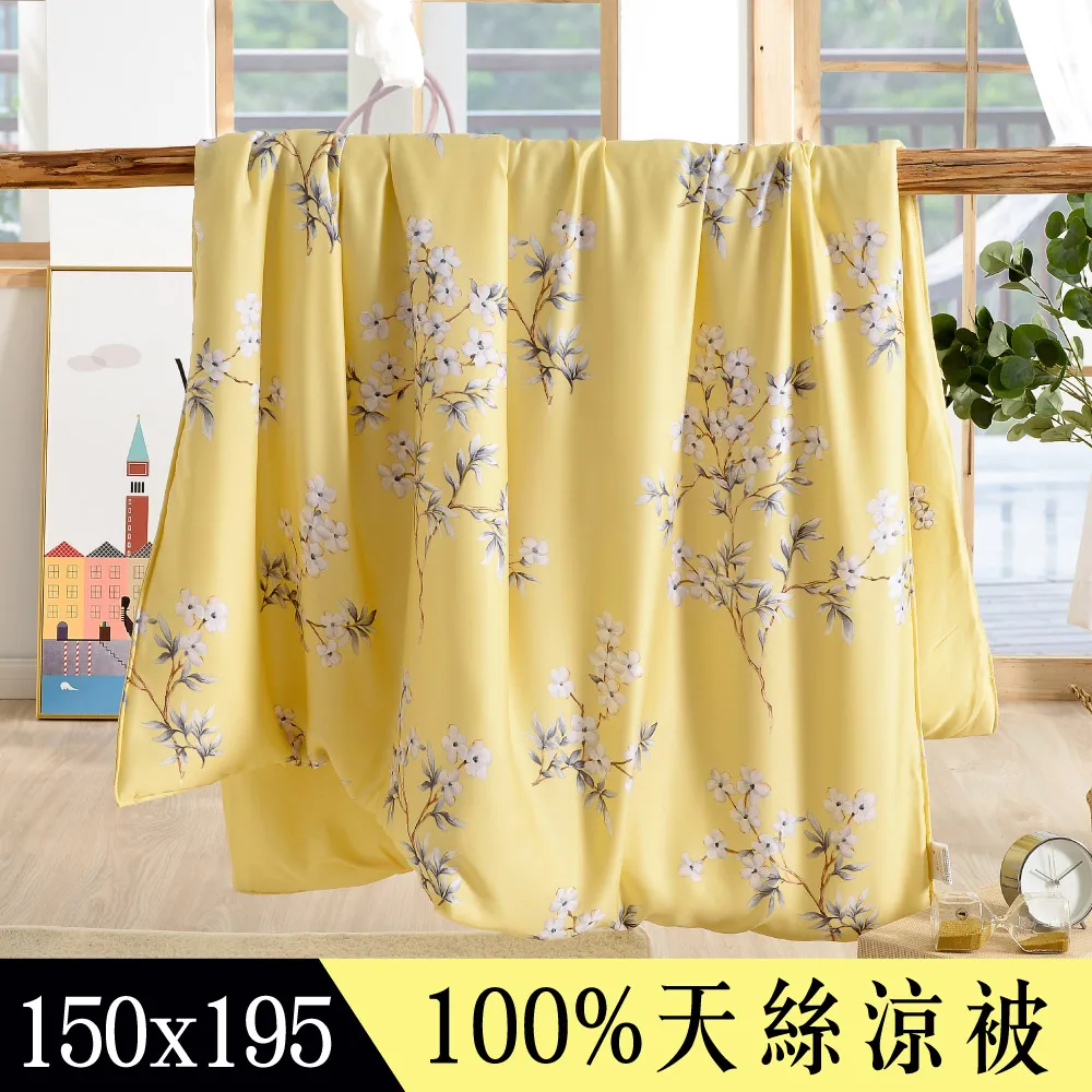 【Betrise醉花都】植萃系列100%奧地利天絲鋪棉涼被/四季被 5X6.5尺一入(獨家加大尺寸) 歷史價格詳細信息