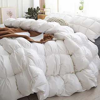 澳洲Simple Living 雙人波蘭98/2雲柔天堂鵝絨被 價格比較,價格查詢,歷史價格詳細信息