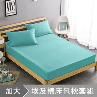 澳洲Simple Living 加大600支臻品天絲床包枕套組-優雅白(台灣製) 歷史價格詳細信息