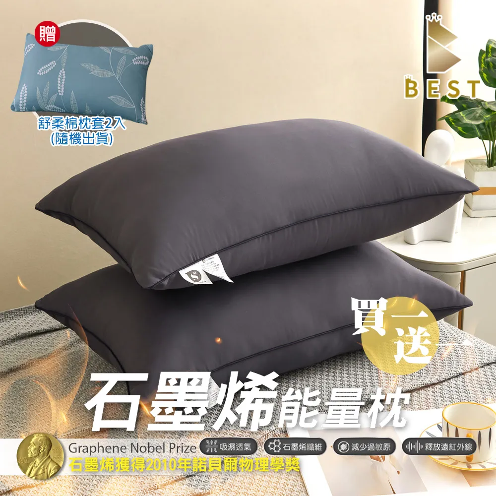 【BEST貝思特】石墨烯防潑水透氣枕頭保潔墊 買一送一 2組(4入) 鋪棉加厚枕頭套 歷史價格詳細信息