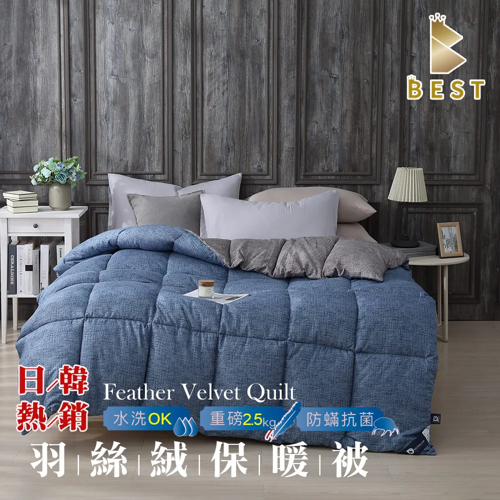 【BEST 貝思特】日韓熱銷羽絲絨水洗被 2.5KG 咖啡格調 歷史價格詳細信息