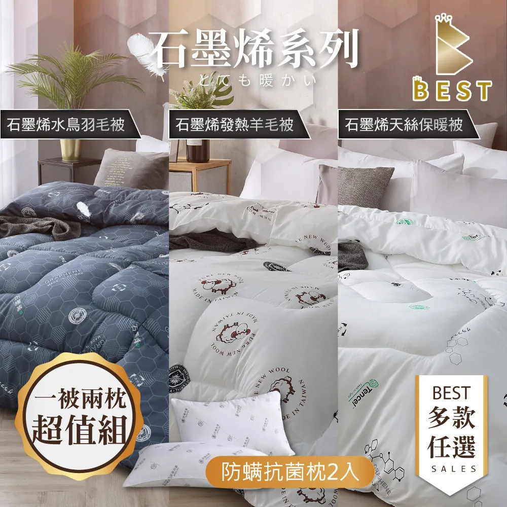 【BEST 貝思特】石墨烯天絲保暖被 台灣製造 100%天絲表布 雙人2.5kg 棉被 被子 冬被 〔超取有出貨限制〕 歷史價格詳細信息