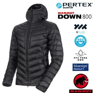 IN輕氧透氣速乾排汗運動衫短袖上衣短褲套裝 歷史價格詳細信息